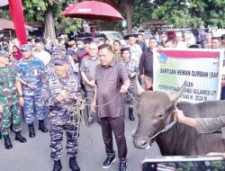 ODSK Salurkan Ratusan Hewan Kurban Hari Raya Idul Adha 10 Zulhijah 1445 Hijriah